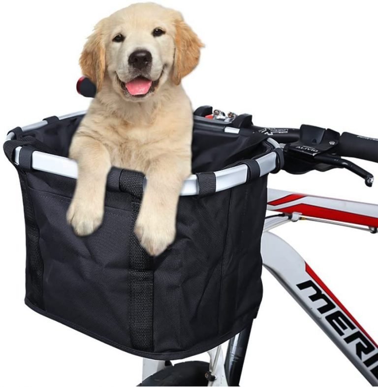 ᐅ Les 5 Meilleurs Paniers à Vélo Pour Chien : Avis En 2023 ! - 🐕 Mon Ami Le Chien