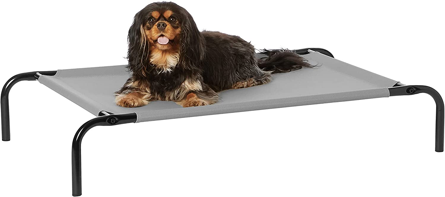 Chien lit sureleve
