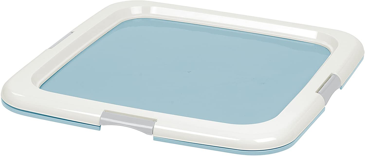 Les meilleurs pipi pad pour chien [Guide 2023]