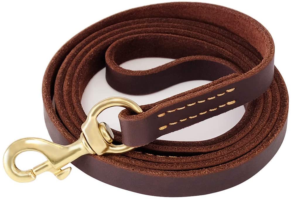 Laisse cuir chien